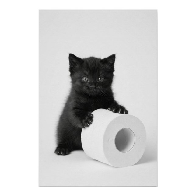Baby Black Kitten Guarding Toilet Paper Roll On Poster (Vorderseite)
