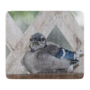 Baby-Blau-Jay-Ausschnitt-Brett Schneidebrett