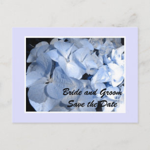 Baby Blue Hydrangea Save the Date Ankündigungspostkarte