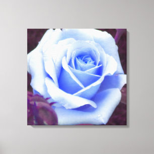 Baby Blue Rose Wrapped Canvas Print Leinwanddruck