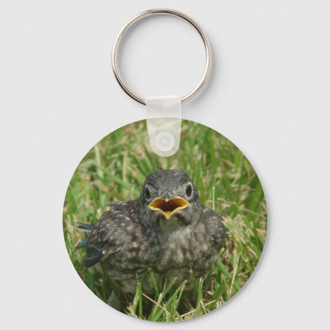 Baby Bluebird Schlüsselanhänger (Vorderseite)