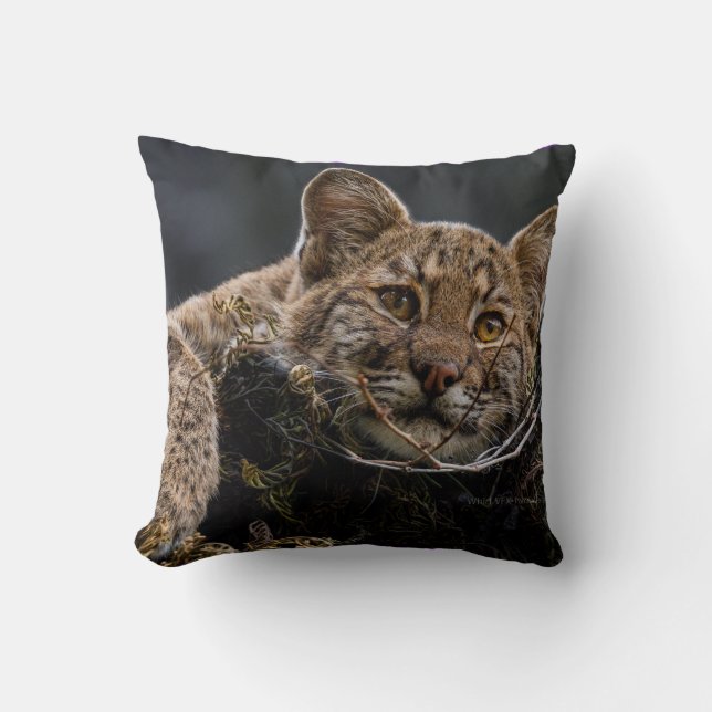 Baby Bobcat Lying in Tree Kissen (Vorderseite)