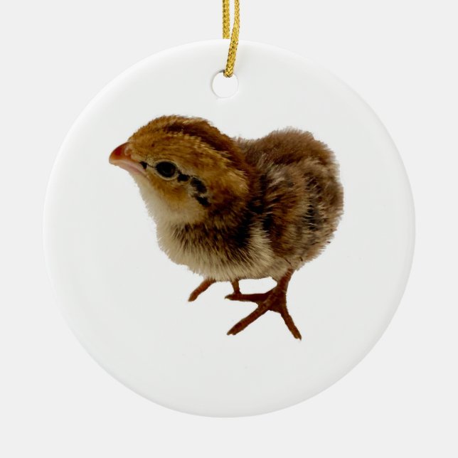Baby Bobwhite Quail Keramik Ornament (Vorne)