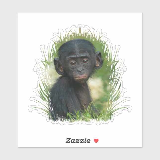 Baby Bonobo Ape Aufkleber (Blatt)