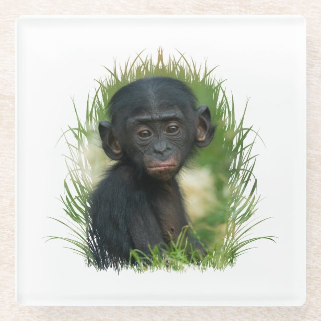 Baby Bonobo Ape Glasuntersetzer (Vorderseite)