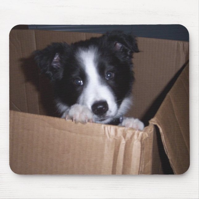 Baby-Border-Collie Mousepad (Vorne)