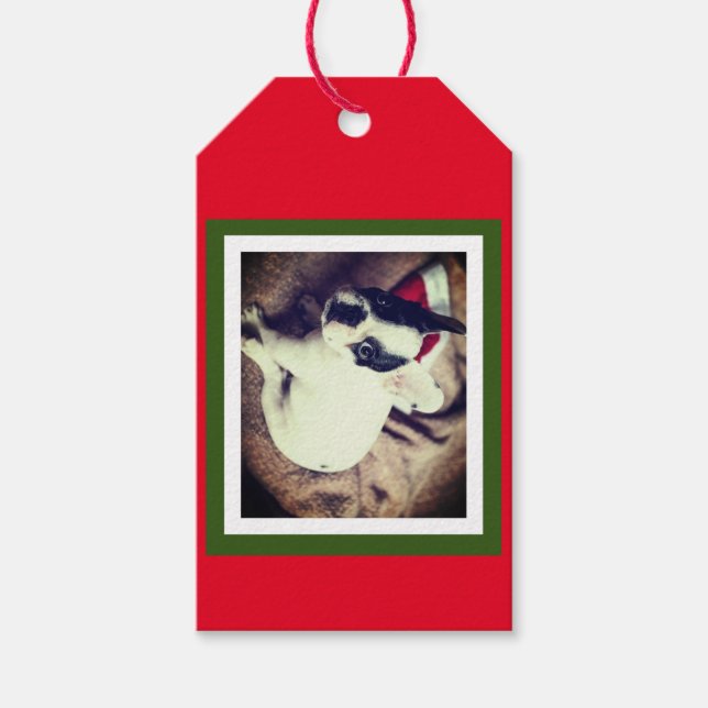 Baby Boston Bull Christmas Geschenkanhänger (Vorderseite)