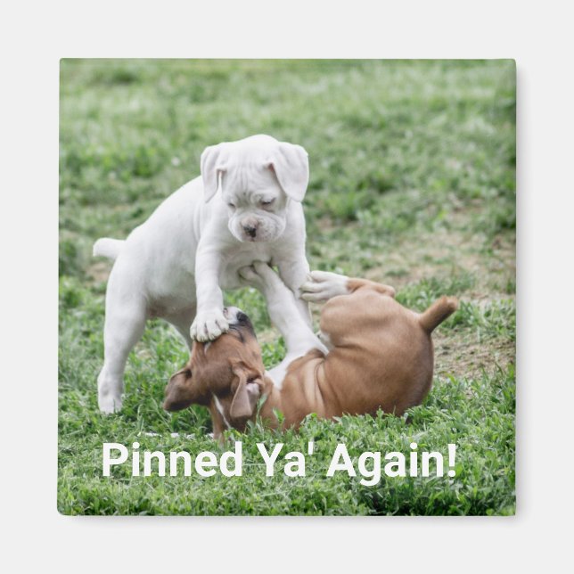 Baby Boxer Welppies Magnet (Vorne)