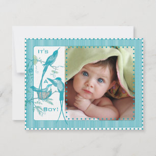 Baby Boy Aqua Vintage Vögel Bild Ankündigung