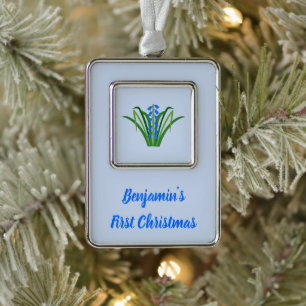 Baby Boy Blauglocken Blumen Frühling Benutzerdefin Rahmen-Ornament Silber