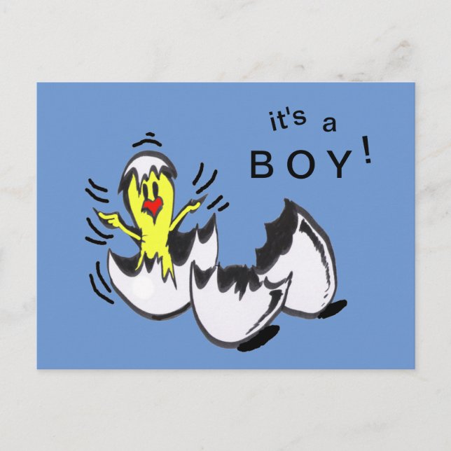 Baby BOY Chick Cartoon Postcard Postkarte (Vorderseite)