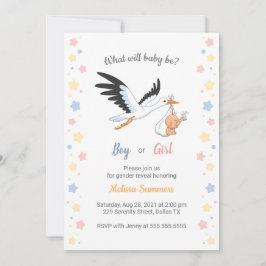Baby Boy Girl Stork Gender Reveal Party Einladung