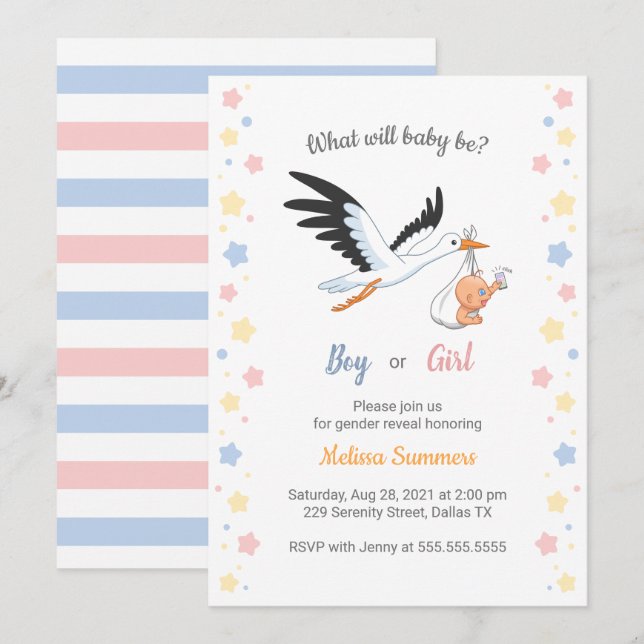Baby Boy Girl Stork Gender Reveal Party Einladung (Vorne/Hinten)
