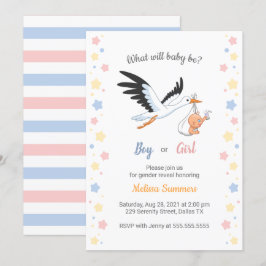 Baby Boy Girl Stork Gender Reveal Party Einladung