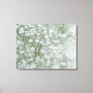 Baby-Breath-Blumen Luftige Naturfotografie Leinwanddruck