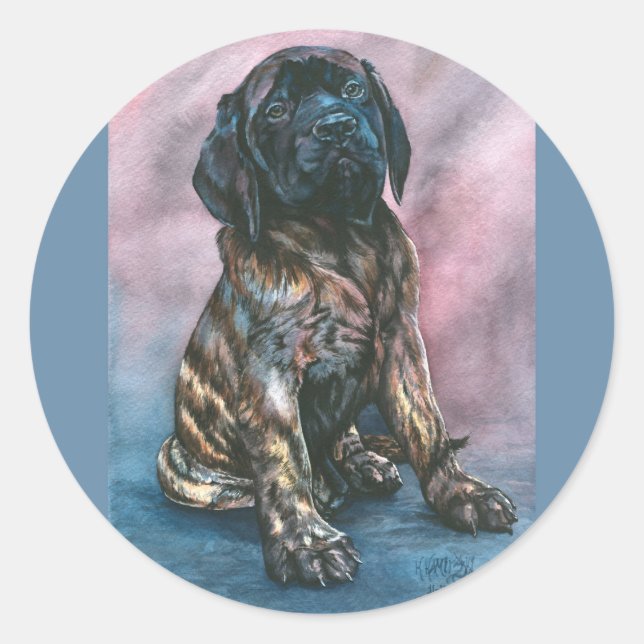 Baby Brindle Mastiff Runder Aufkleber (Vorderseite)