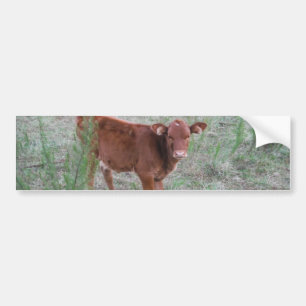 Baby Brown Cow. Autoaufkleber