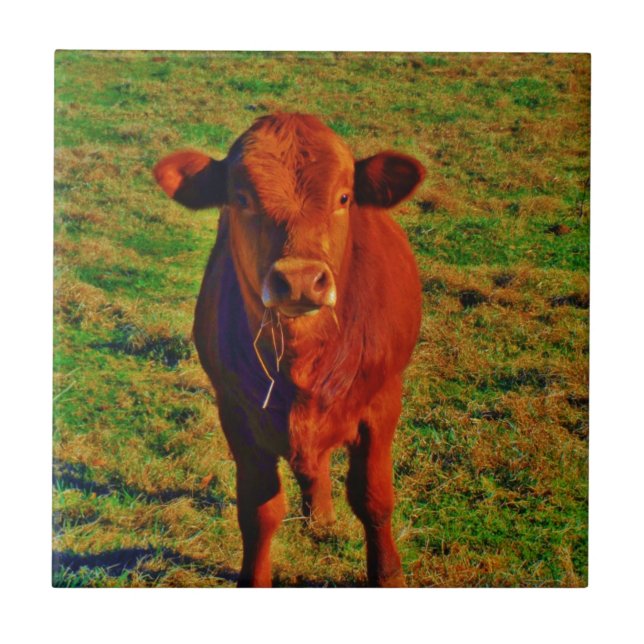 BABY BROWN COW ESSING FLIESE (Vorderseite)