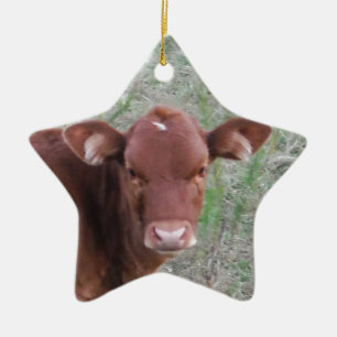 Baby Brown Cow face Keramikornament