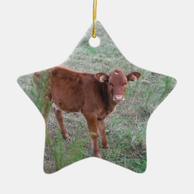Baby Brown Cow. Keramik Ornament (Vorne)