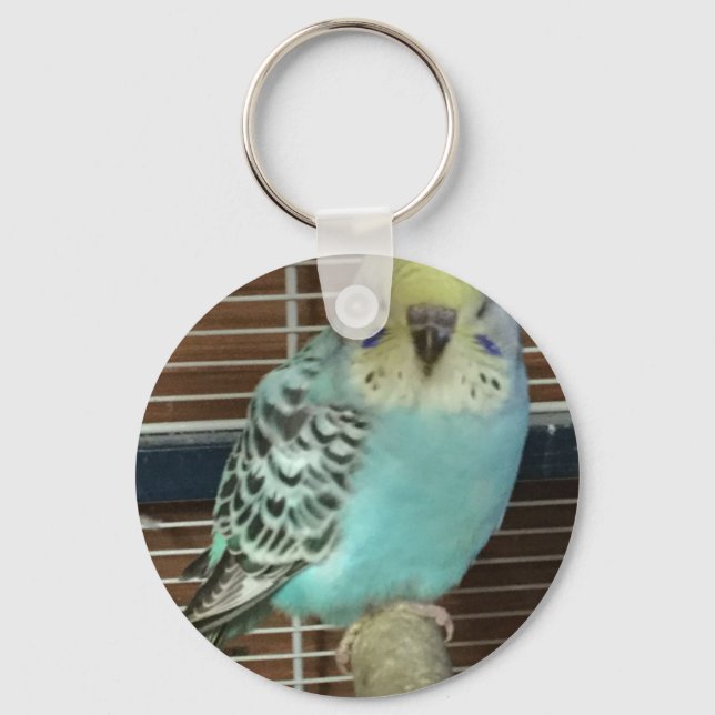 Baby Budgie Schlüsselanhänger (Vorderseite)
