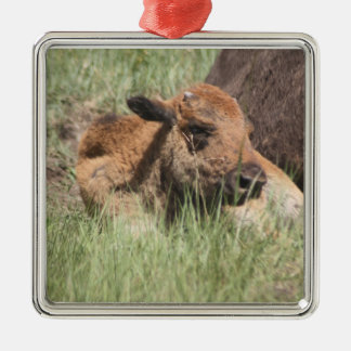 Baby-Büffel-Verzierung Silbernes Ornament