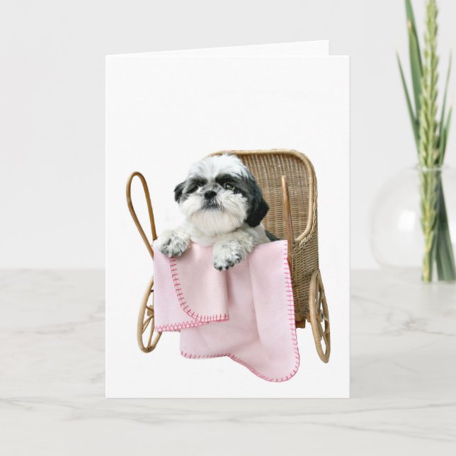 Baby-Buggy Shih Tzu Karte (Vorderseite)