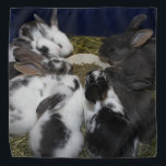 Baby Bunnies Halstuch<br><div class="desc">Zwei meiner Rettungsbrände hatten ein paar Tage voneinander entfernt. Hier sind alle Babys zusammen,  sobald sie von ihren Mamas got haben.</div>