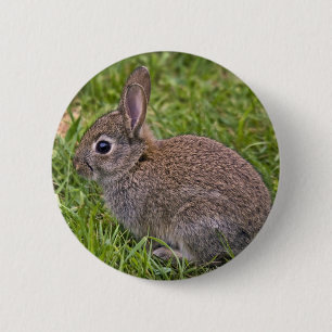Baby-Bunny-Abzeichen Button