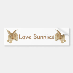 BABY BUNNY AUTOAUFKLEBER
