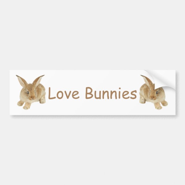BABY BUNNY AUTOAUFKLEBER (Vorne)