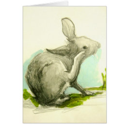 Baby Bunny kratzt sein Ohr