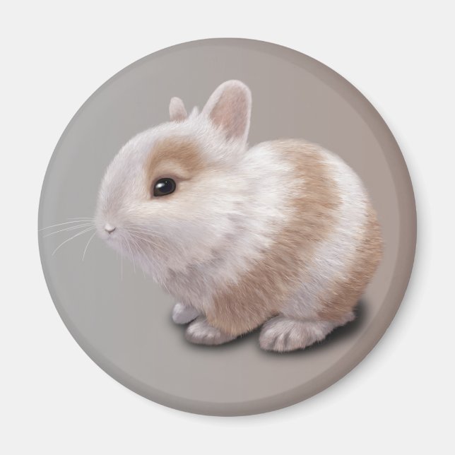 Baby Bunny Magnet (Vorne)