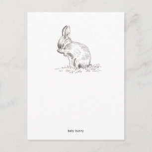 Baby Bunny Postcard Postkarte