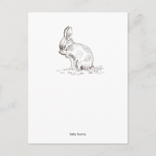 Baby Bunny Postcard Postkarte (Vorderseite)