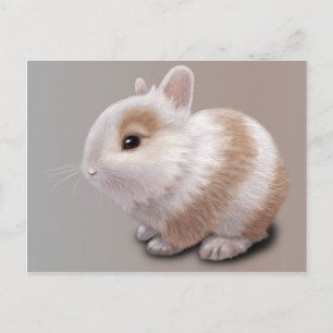 Baby Bunny Postkarte