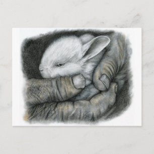 BABY BUNNY POSTKARTE