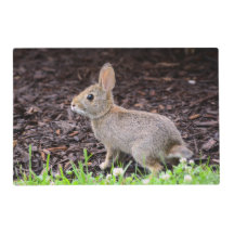 Baby Bunny Rabbit Laminat Tischset