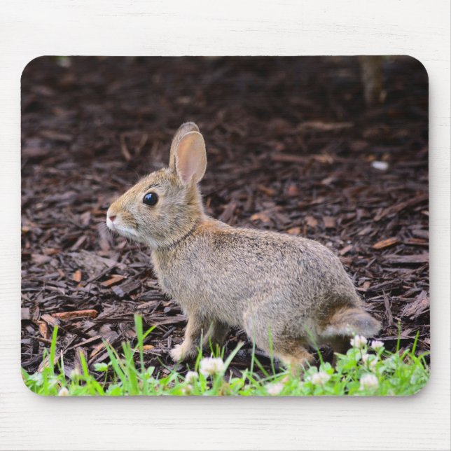 "Baby Bunny Rabbit" Mousepad (Vorne)