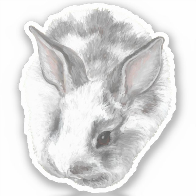 Baby Bunny Vinyl Sticker (Vorderseite)