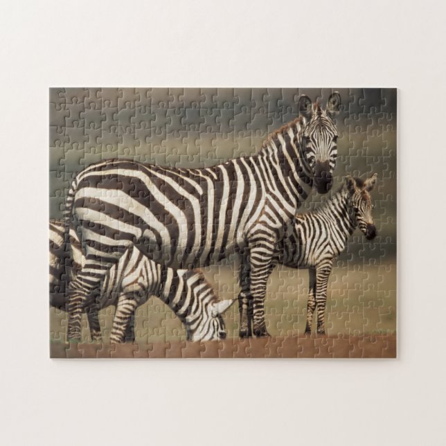Baby Burchell-Zebra mit Mutter Puzzle (Horizontal)