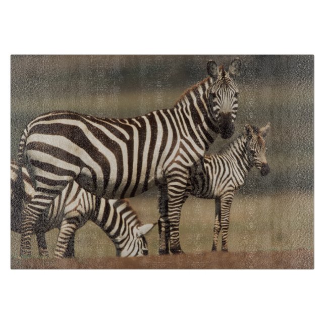 Baby Burchell-Zebra mit Mutter Schneidebrett (Vorderseite)