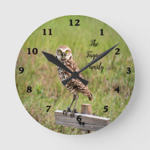 Baby Burrowing Owl Wall Clock Runde Wanduhr