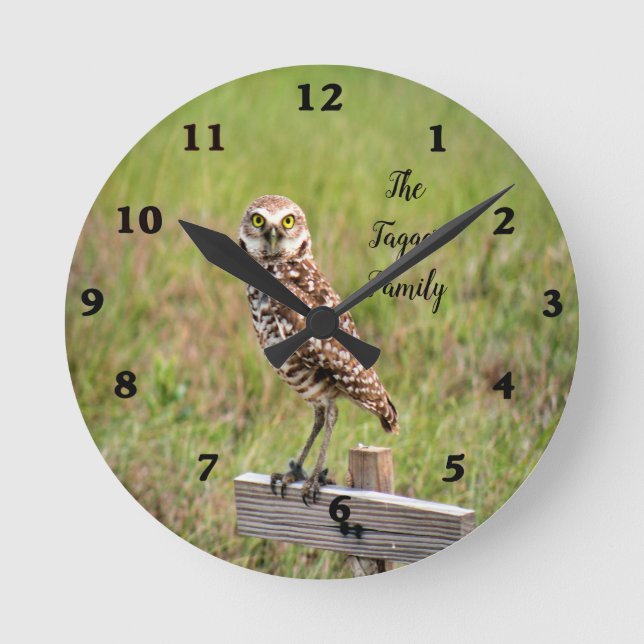 Baby Burrowing Owl Wall Clock Runde Wanduhr (Vorderseite)
