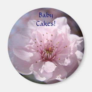 BABY CAKES! Magnet Rosa Blüten Frühling Magnete