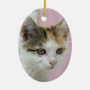 Baby Calico Keramikornament