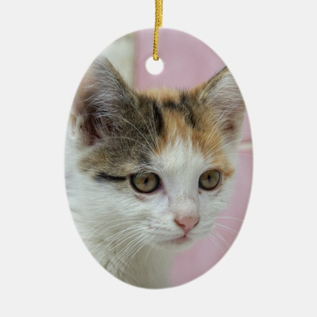 Baby Calico Keramikornament (Vorne)