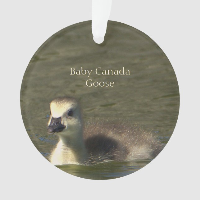 Baby Canada Goose Foto Ornament (Vorderseite)