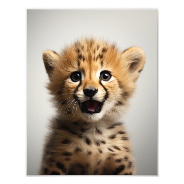 Baby Cheetah Art Print | Safari Kinderzimmer Art Fotodruck (Vorne)