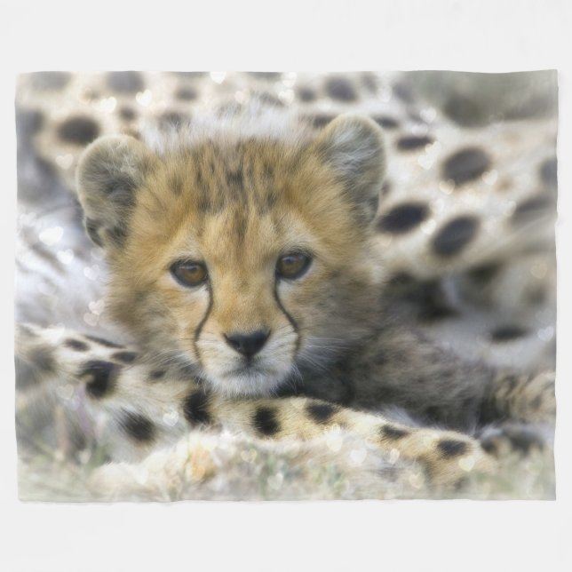 Baby Cheetah Fleece Blanket (Vorderseite (Horizontal))
